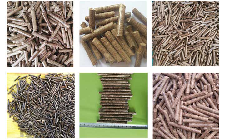 平模顆粒機壓出顆粒機實拍圖 平模顆粒機壓出顆粒機實拍圖