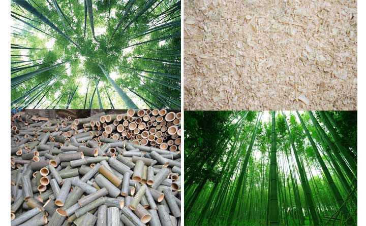 木屑顆粒機(jī)設(shè)備的發(fā)展會(huì)越來(lái)越好 木屑顆粒機(jī)設(shè)備的發(fā)展會(huì)越來(lái)越好