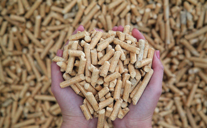 鋸末顆粒機(jī)的生物質(zhì)燃料 鋸末顆粒機(jī)的生物質(zhì)燃料