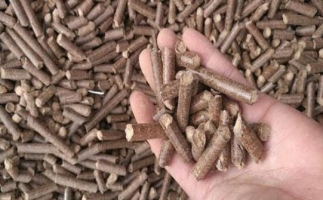 鋸末顆粒機生物質(zhì)燃料與燃煤對比情況如何？