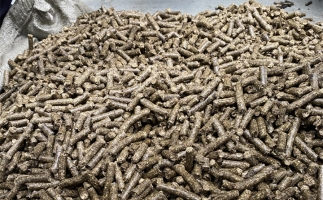 鋸末顆粒機(jī)的顆粒燃料比煤炭貴，為什么還有那么多人用？