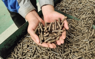 干貨：木屑顆粒機出料短且顆粒松散的原因分析