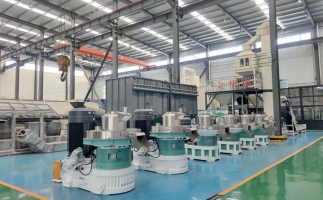 都說用木屑顆粒機做生物質(zhì)顆粒是騙局，真的是這樣嗎？